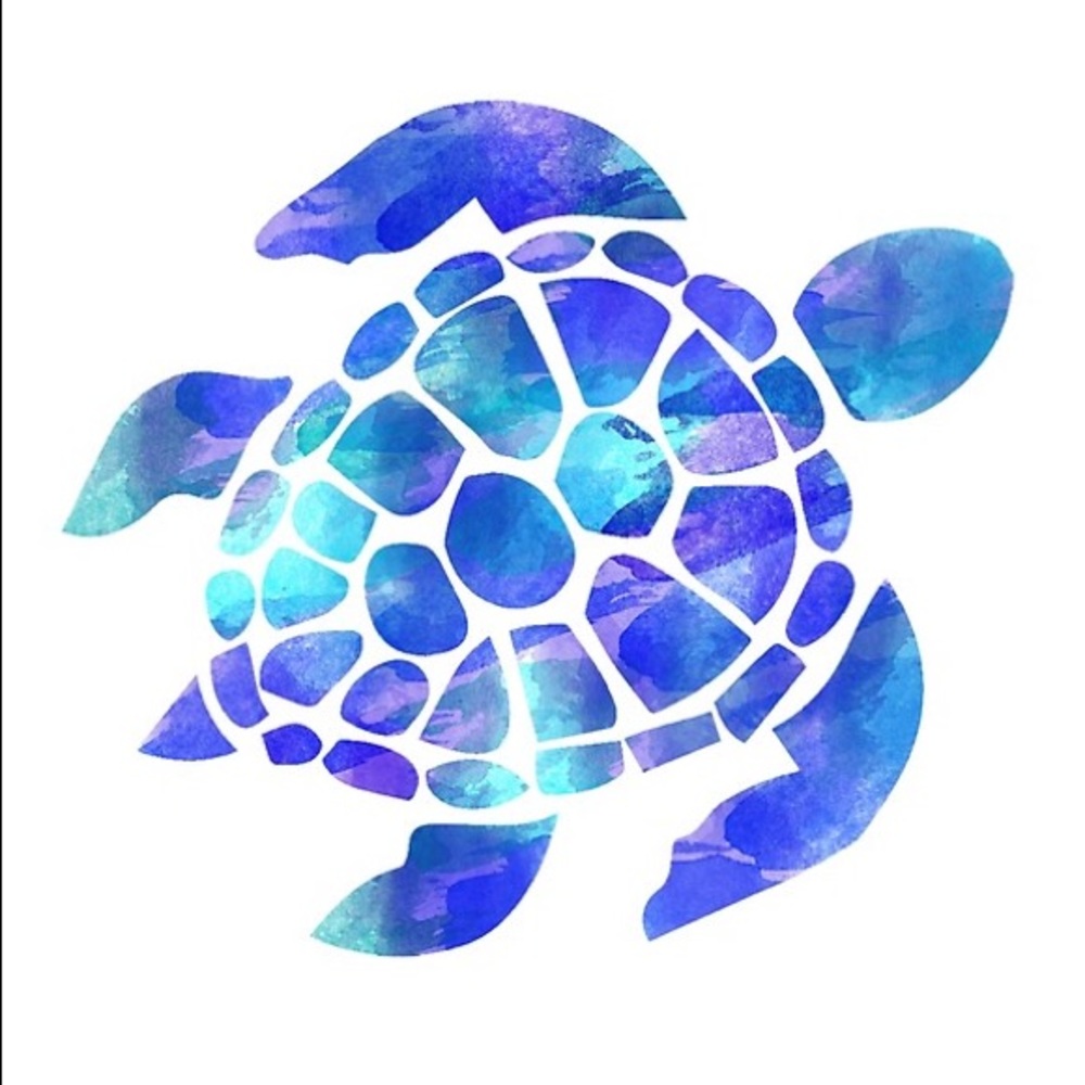 Welcome to seaturtlecloset!
